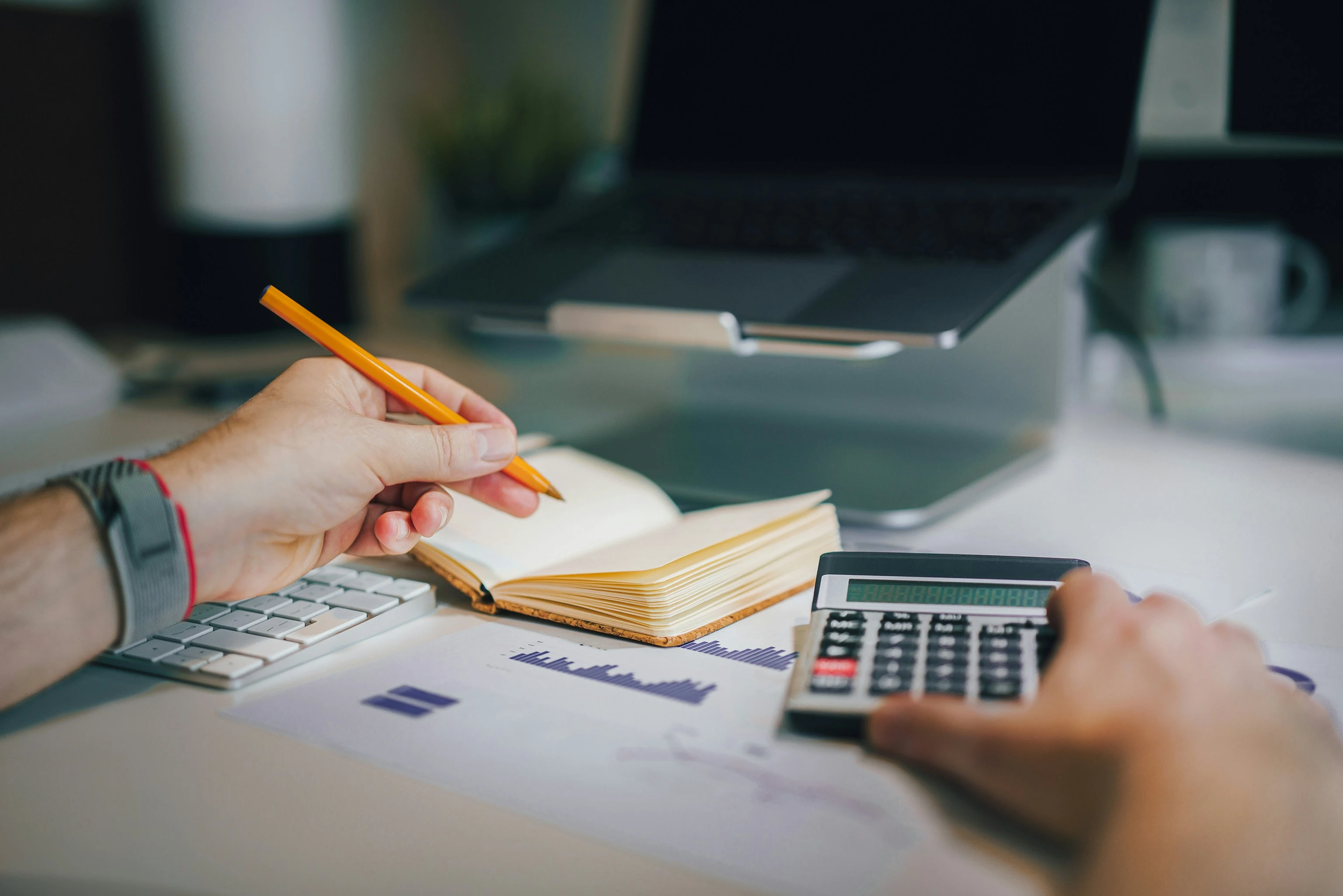 Professional invoice template on screen