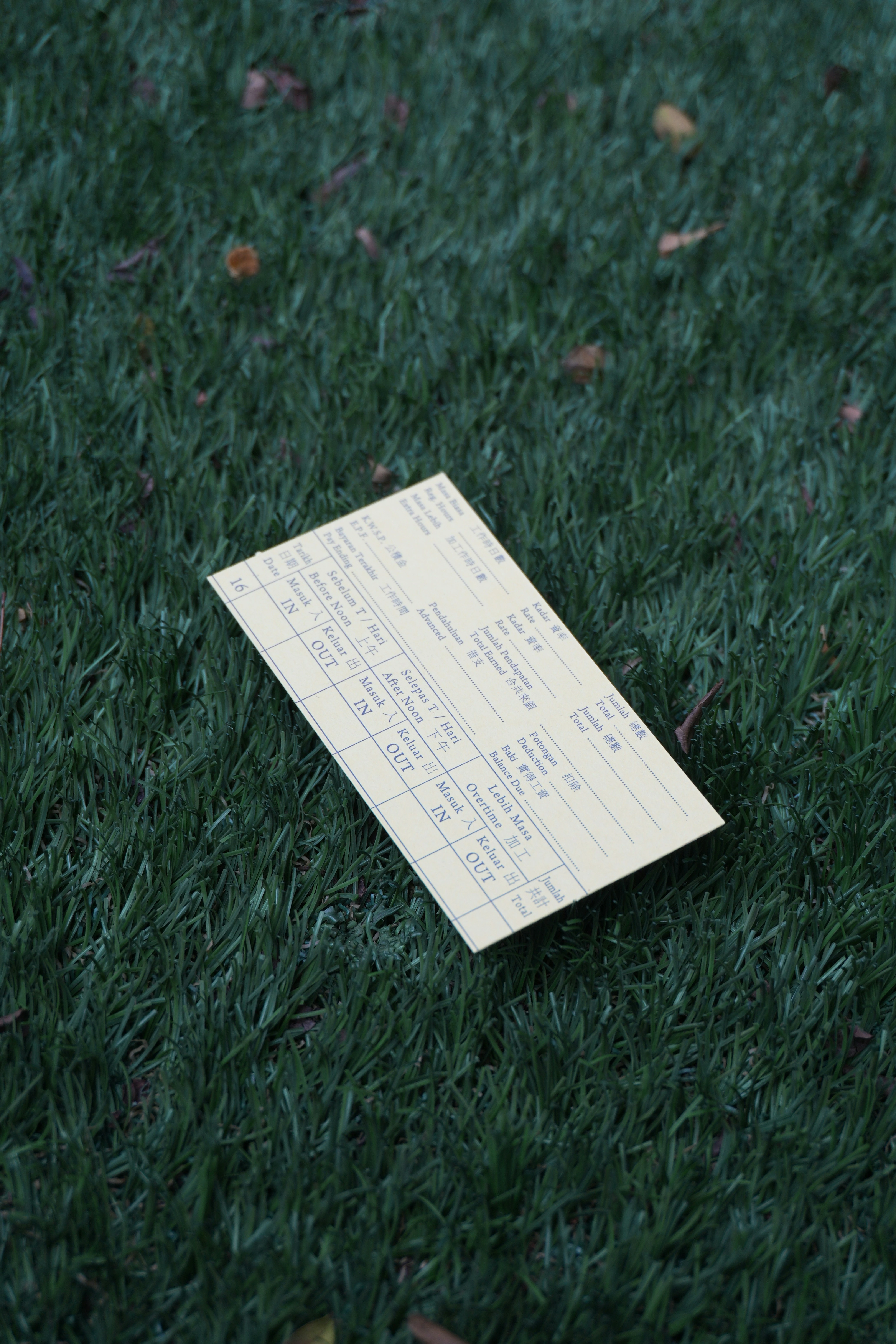 Organized financial records ready for tax season